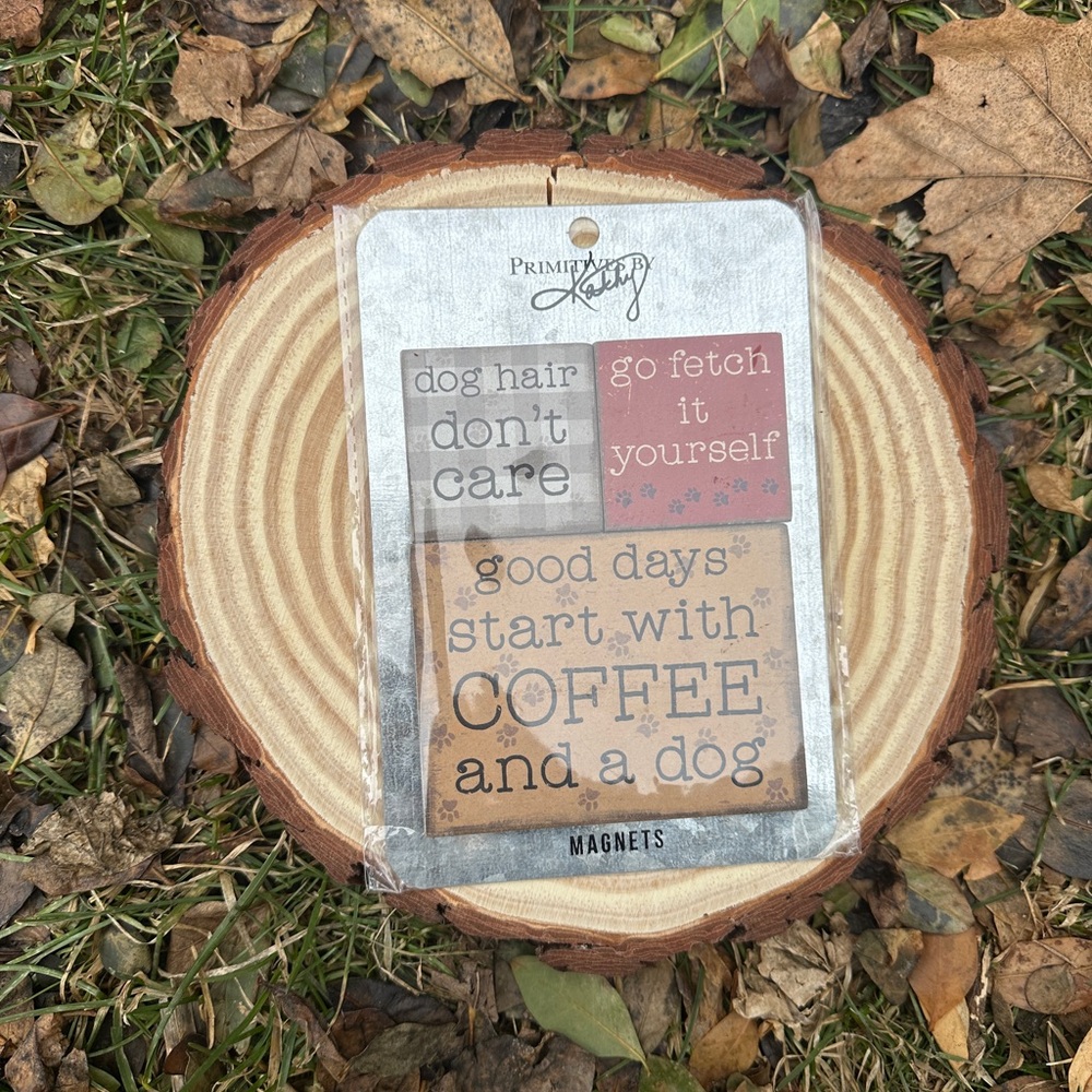Primitives by Kathy Silver Magnet Set